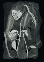 http://www.actionaqua.com/files/gimgs/th-121_Scannen 23invert_v2.jpg